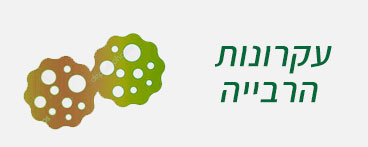 עקרונות הרבייה