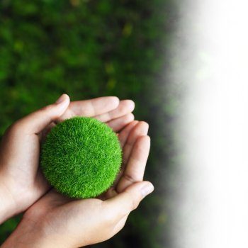 AmCham Israel's Carbon Forum