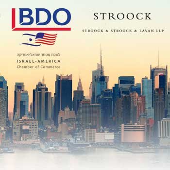 Seminar on Federal Contracts & Grants for Israeli Companies: Nov. 6th