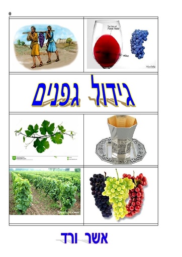 גדול גפנים