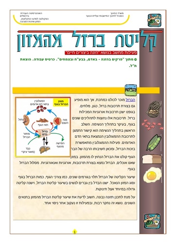 תרגיל חקר- ברזל בתזונת האדם