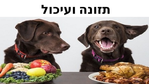 תזונה ועיכול בכלבים