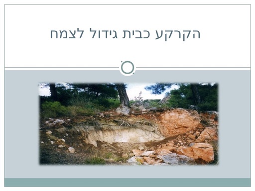 הקרקע כבית גידול