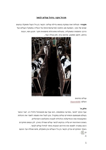 תרגיל חקר- גידול עגלים לבשר