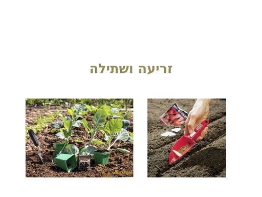 על זרעים וזריעה