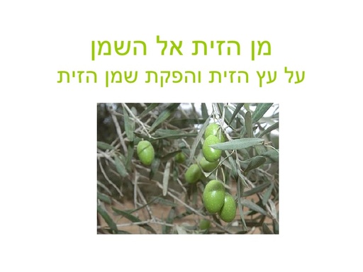 מן הזית אל השמן