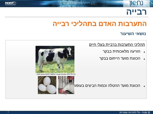 התערבות האדם בתהליכי רבייה במשק החקלאי- מצגת