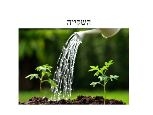מאזן המים בצמח, בקרקע והשקייה.