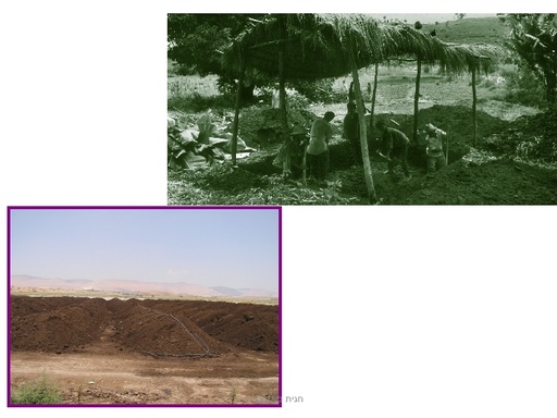 קומפוסט ותהליך הקומפוסטציה